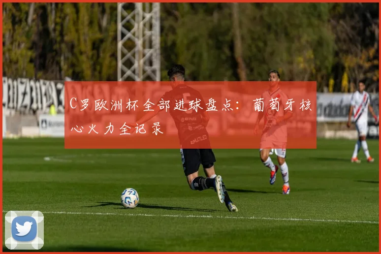 C罗欧洲杯全部进球盘点：葡萄牙核心火力全记录